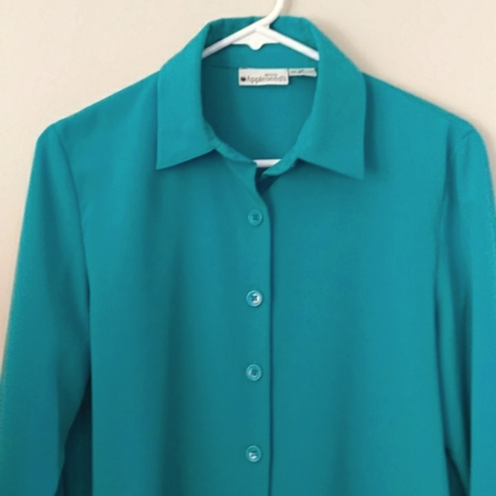 Appleseed's Petite Button Down Blouse Shirt 6 Petite Green - Picture 10 of 13